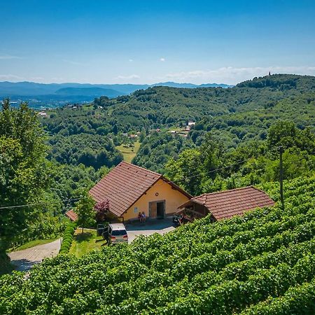 Vineyard Cottage Ucman - Happy Rentals Otočec Exteriér fotografie