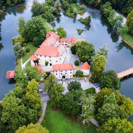 Vineyard Cottage Ucman - Happy Rentals Otočec Exteriér fotografie