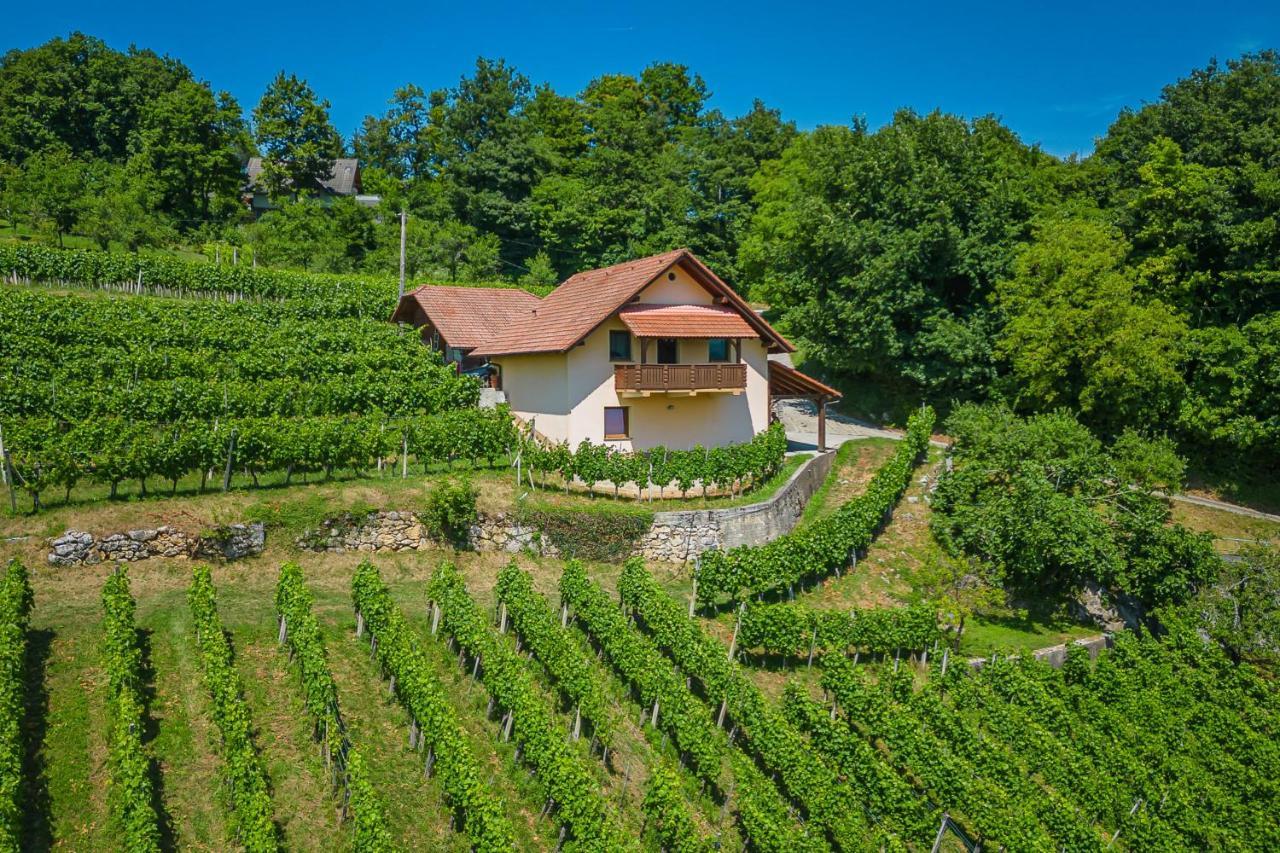 Vineyard Cottage Ucman - Happy Rentals Otočec Exteriér fotografie