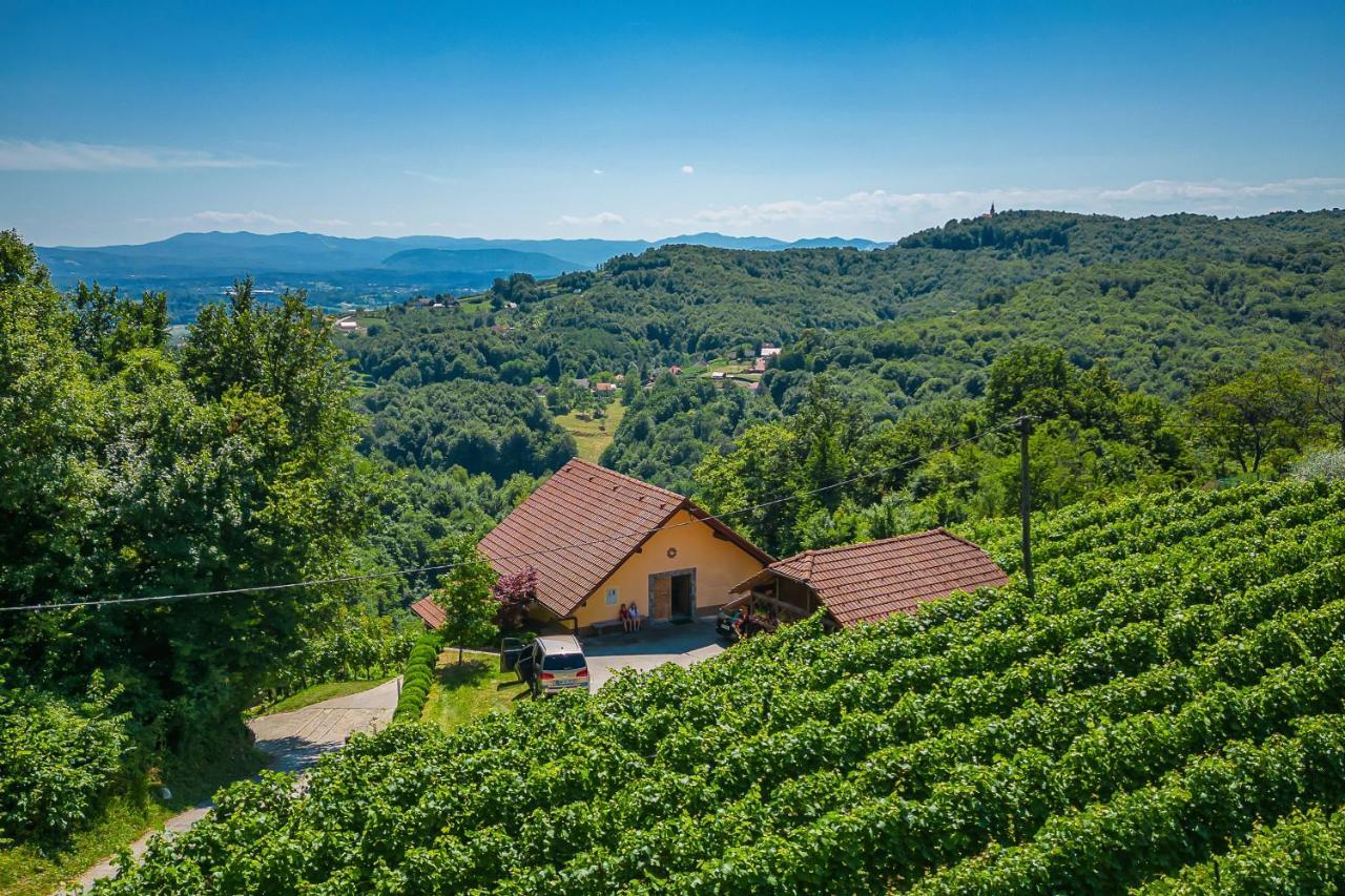 Vineyard Cottage Ucman - Happy Rentals Otočec Exteriér fotografie