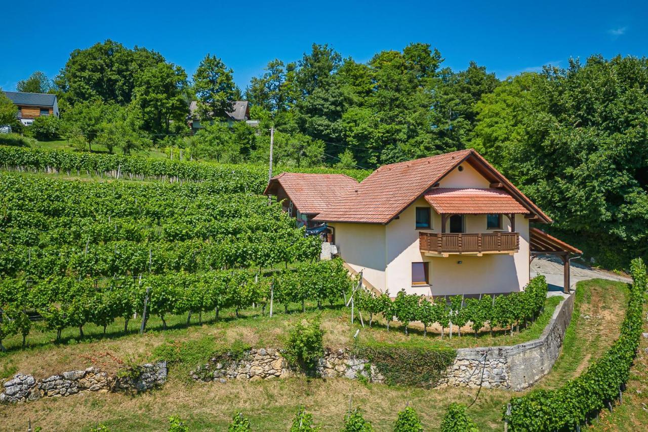 Vineyard Cottage Ucman - Happy Rentals Otočec Exteriér fotografie